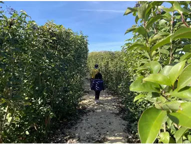 Laberinto de Peñíscola (1).webp